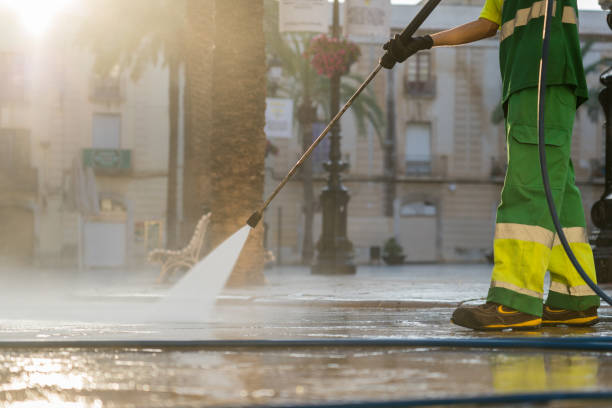 Best Driveway Pressure Washing  in Bridge City, TX
